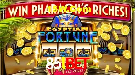 Recursos de Bônus 85lbet